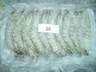 Coir Fiber
