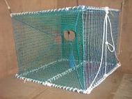 Coir Fiber