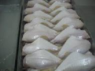 Coir Fiber