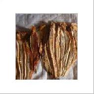 Coir Fiber