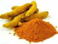 Coir Fiber
