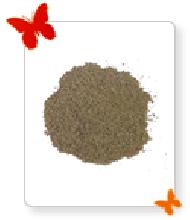 Coir Fiber