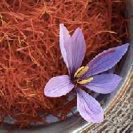 Coir Fiber