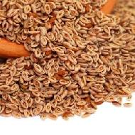 Coir Fiber