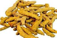 Coir Fiber
