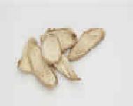 Coir Fiber