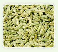 Coir Fiber
