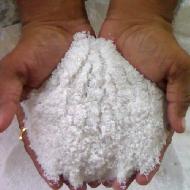 Coir Fiber