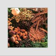 Coir Fiber