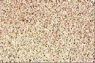 Coir Fiber