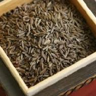 Coir Fiber