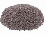 Coir Fiber