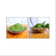 Coir Fiber