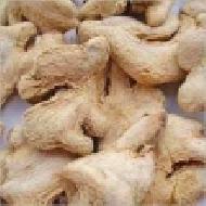 Coir Fiber