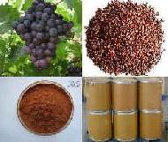 Coir Fiber