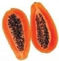 Coir Fiber