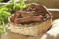 Coir Fiber