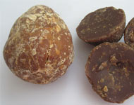 Coir Fiber