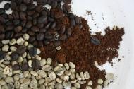 Coir Fiber