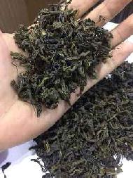 Coir Fiber