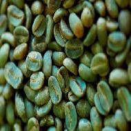 Coir Fiber