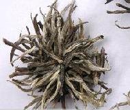 Coir Fiber