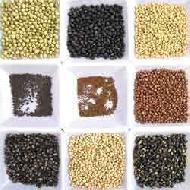 Coir Fiber