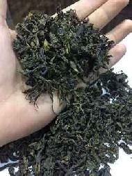 Coir Fiber