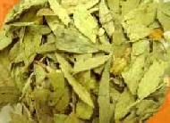 Coir Fiber