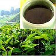 Coir Fiber