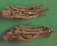 Coir Fiber