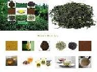 Coir Fiber