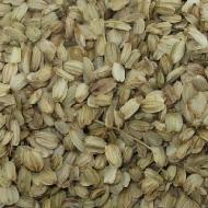 Coir Fiber