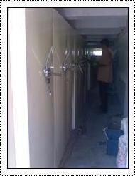 Coir Fiber