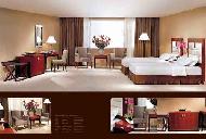 Coir Fiber