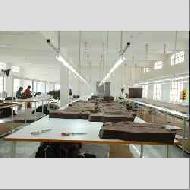 Coir Fiber
