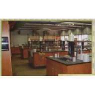 Coir Fiber
