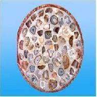 Coir Fiber