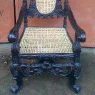 Coir Fiber