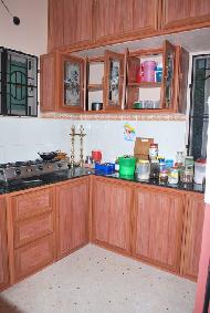 Coir Fiber