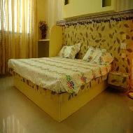 Coir Fiber