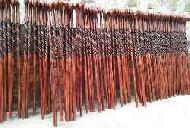Coir Fiber
