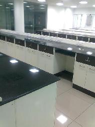 Coir Fiber