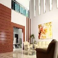 Coir Fiber