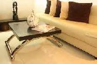 Coir Fiber