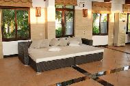 Coir Fiber