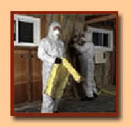Coir Fiber