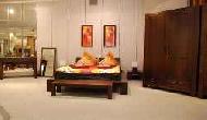 Coir Fiber