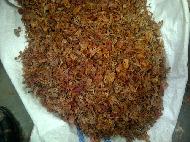 Coir Fiber