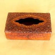 Coir Fiber